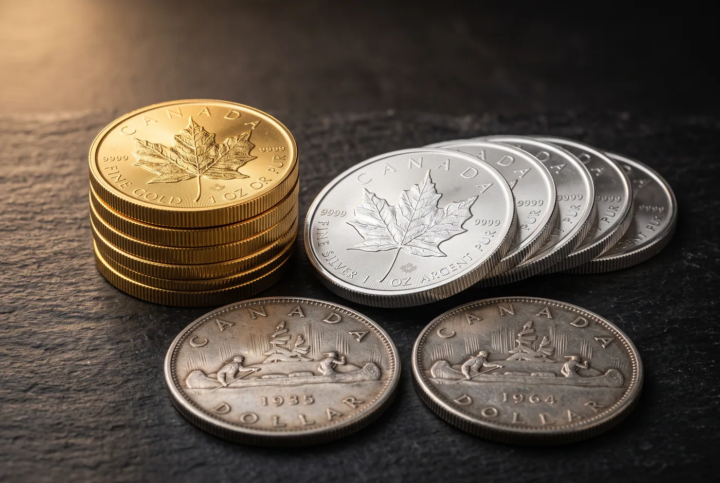 Stack of Gold Maple Leaf coins, fanned Silver Maple Leafs and 1935 and 1964 Canadian voyageur silver dollars on dark slate
